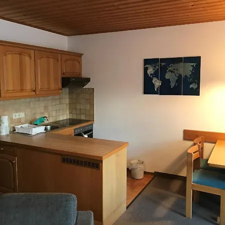 公寓式酒店 Carinthia